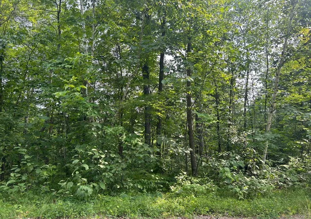 1st image of Tbd Central St, Garrison, MN 56450 | MLS# 7124883