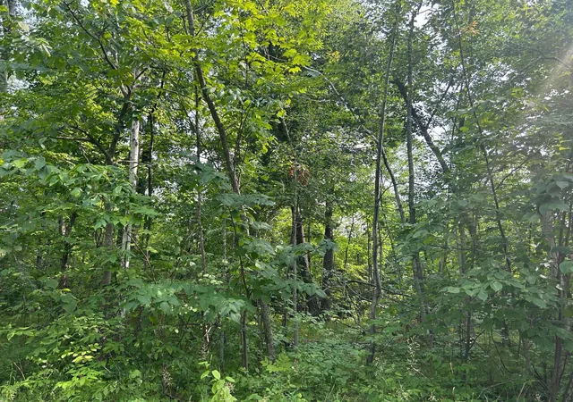 2nd image of Tbd Central St, Garrison, MN 56450 | MLS# 7124883