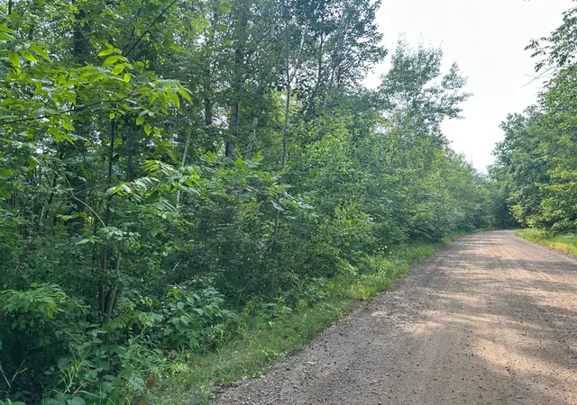 Photo 3 of Land for sale at Tbd Central St, Garrison, MN 56450 | MLS# 7124883 | Listing updated on 2026-08-28