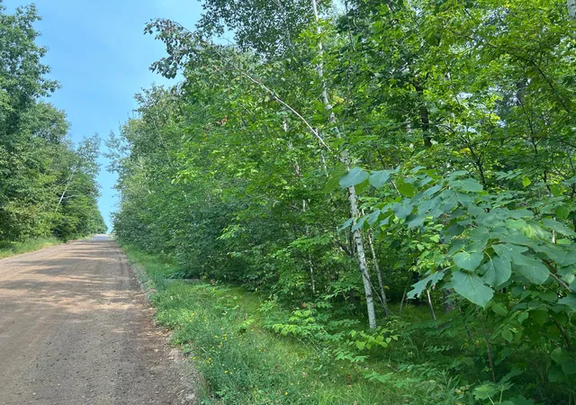Photo 4 of Land for sale at Tbd Central St, Garrison, MN 56450 | MLS# 7124883 | Listing updated on 2026-08-28