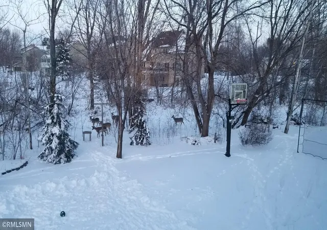 32nd image of 120 Indian Hills Ln, Circle Pines, MN 55014 | MLS# 7125015