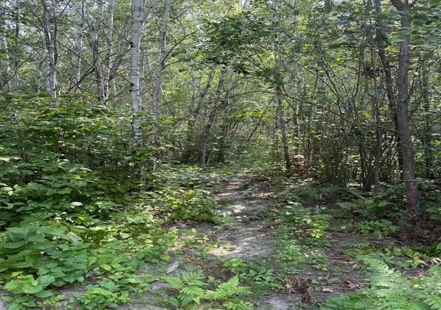 28th image of 47414 323rd Ave, Cass Lake, MN 56633 | MLS# 7125032