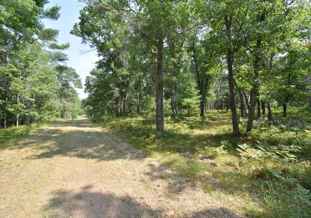 1st image of Lot 5 South Point Trl, Danbury, WI 54830 | MLS# 7125055