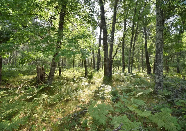 3rd image of Lot 5 South Point Trl, Danbury, WI 54830 | MLS# 7125055