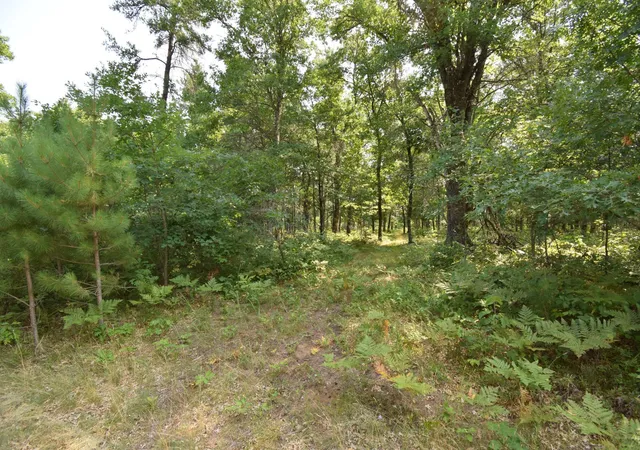 4th image of Lot 5 South Point Trl, Danbury, WI 54830 | MLS# 7125055