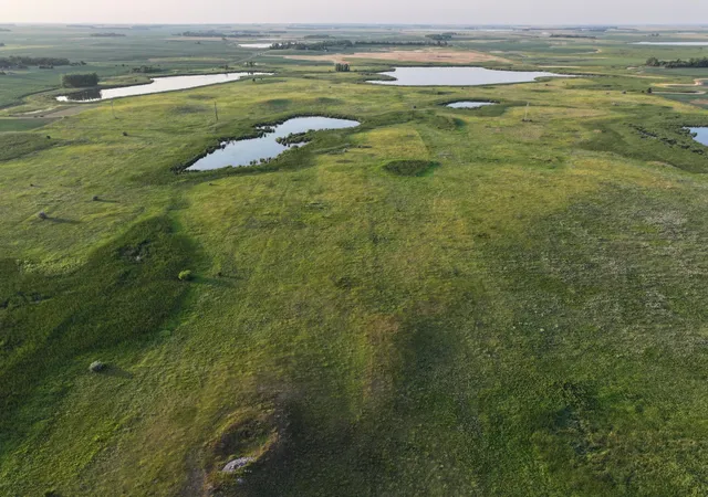 Photo 2 of Land for sale at Tbd 47th St SE 123rd Ave And 124th, Fingal, ND 58031 | MLS# 7125085 | Listing updated on 2026-09-03