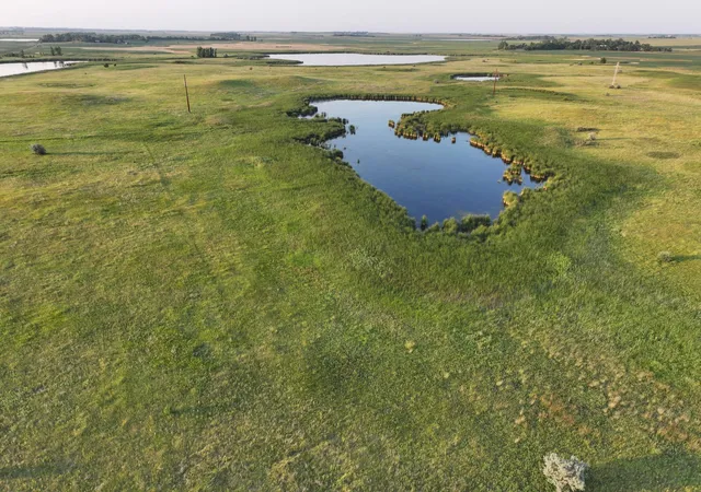 Photo 4 of Land for sale at Tbd 47th St SE 123rd Ave And 124th, Fingal, ND 58031 | MLS# 7125085 | Listing updated on 2026-09-03