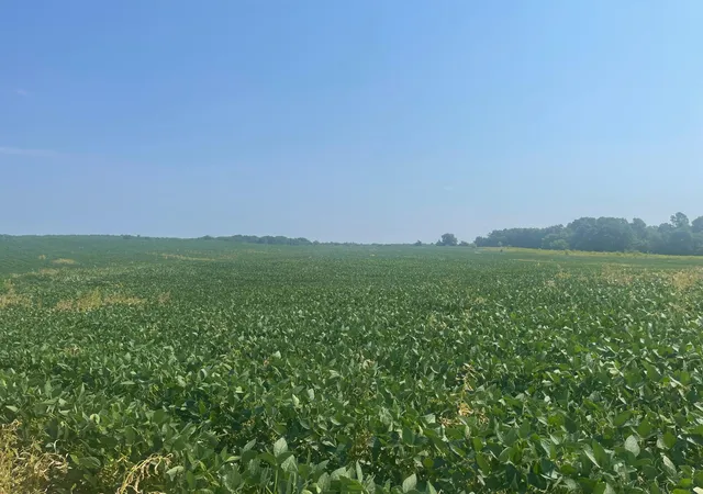 3rd image of Xxxx 190Th Street, Centuria, WI 54824 | MLS# 7125190