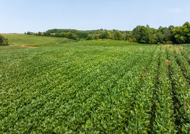 5th image of Xxxx 190Th Street, Centuria, WI 54824 | MLS# 7125190