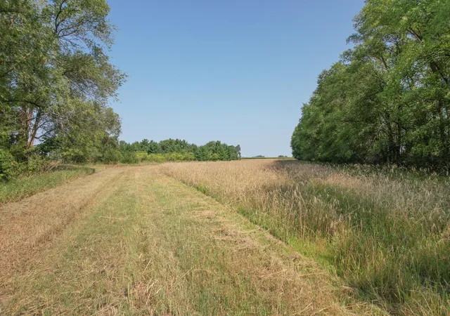 2nd image of 6170x River Rd Se, Clear Lake, MN 55319 | MLS# 7125260