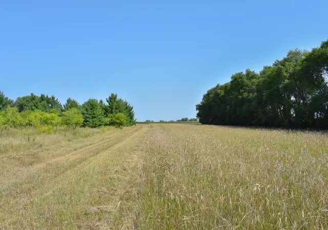 4th image of 6170X River Rd Se, Clear Lake, MN 55319 | MLS# 7125260