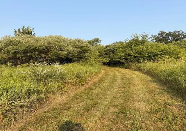 25th image of 7544 155th Ave, Milaca, MN 56353 | MLS# 7125378