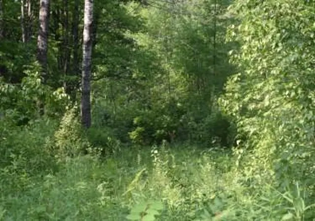 image of 15690 330th St, Mc Gregor, MN 55760 | MLS# 7125489