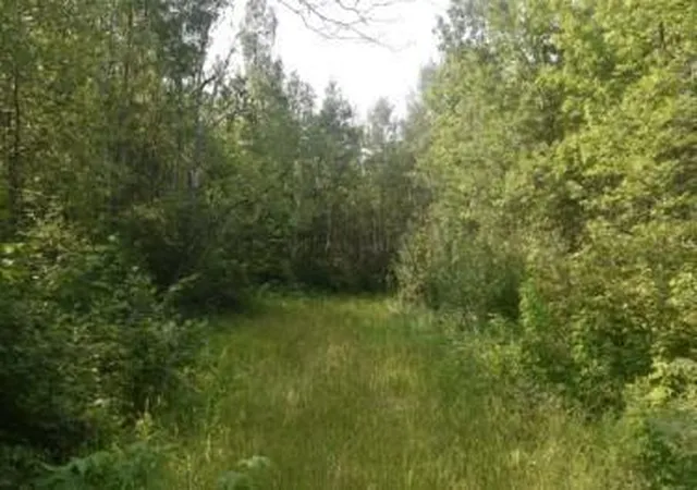 image of 15690 330th St, Mc Gregor, MN 55760 | MLS# 7125489