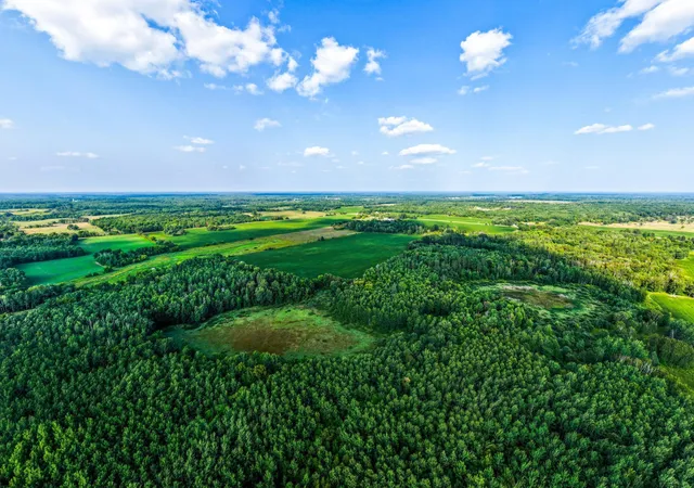 Photo 3 of Land for sale at Tbd Buzzle Rd NW, Shevlin, MN 56676 | MLS# 7125524 | Listing updated on 2026-08-21