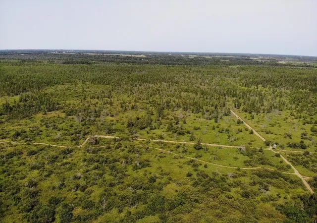 31st image of Tbd 580th St, Deer Creek, MN 56527 | MLS# 7125546