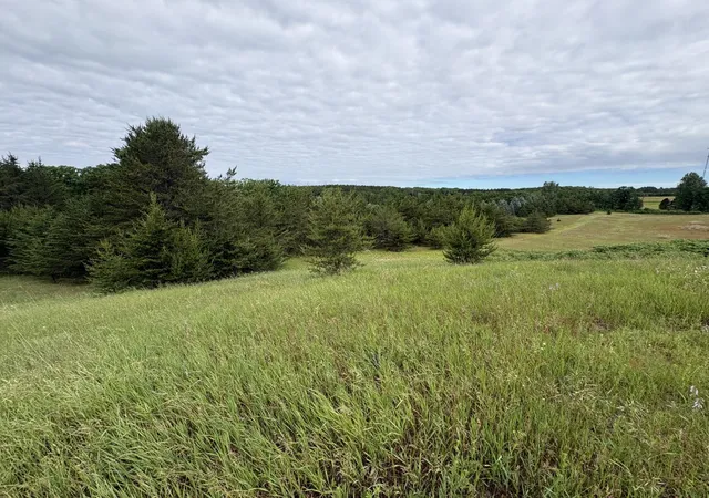 Photo 3 of Land for sale at Tbd 155th Avenue, Fort Ripley, MN 56449 | MLS# 7125705 | Listing updated on 2026-08-31