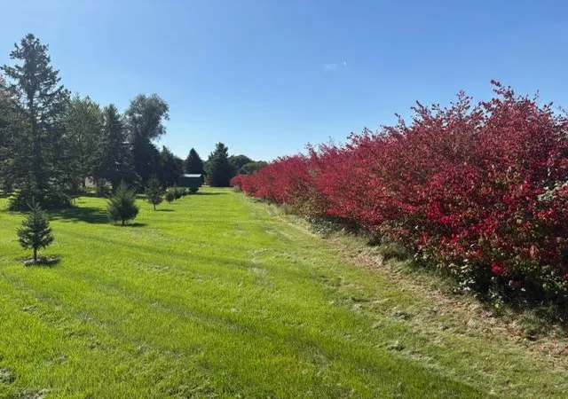Photo 4 of Single family home for sale at 4614 215th Street E, Hampton, MN 55031 | MLS# 7125775 | Listing updated on 2026-10-02