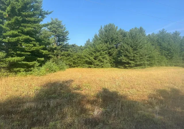 1st image of 141xx 160th Ave, Little Falls, MN 56345 | MLS# 7125778