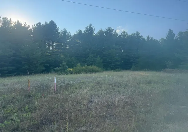 5th image of 141Xx 160Th Ave, Little Falls, MN 56345 | MLS# 7125778