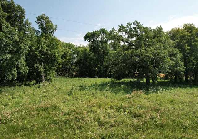 Photo 26 of Land for sale at 0 Rural, Oslo, MN 56744 | MLS# 7125825 | Listing updated on 2026-08-24