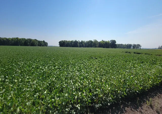 Photo 4 of Land for sale at 0 Rural, Oslo, MN 56744 | MLS# 7125825 | Listing updated on 2026-08-24