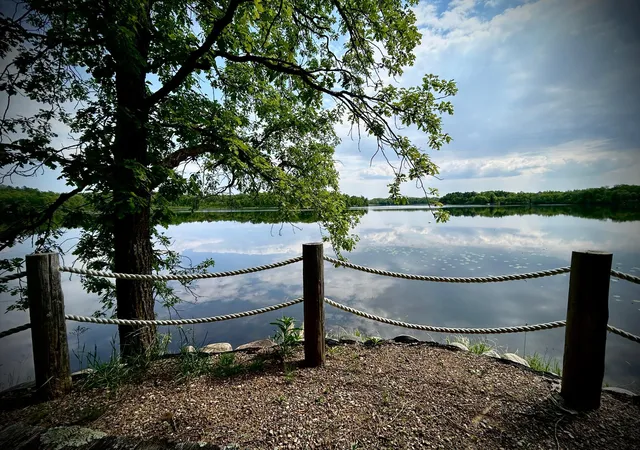 3rd image of 29933 Pequot Blvd, Pequot Lakes, MN 56472 | MLS# 7125922