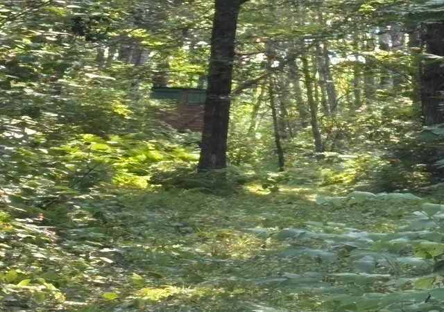 1st image of 40243 650th St, Swatara, MN 55785 | MLS# 7126133