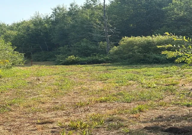 Photo 3 of Land for sale at 40243 650th Street, Swatara, MN 55785 | MLS# 7126133 | Listing updated on 2026-08-12