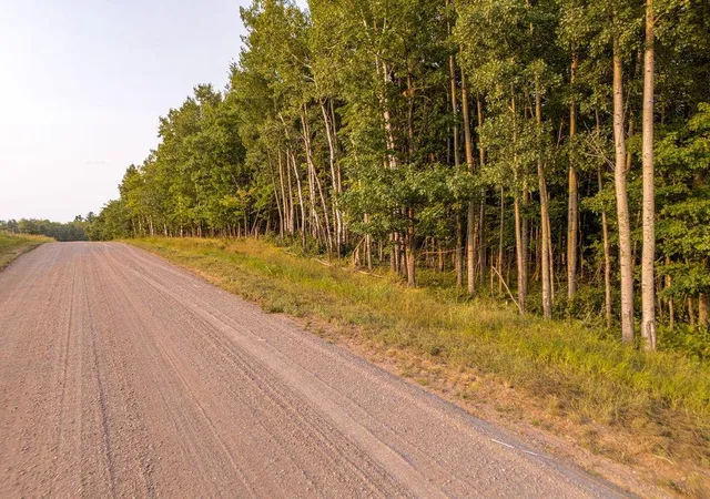 3rd image of Tbd Tract C Pioneer Rd, Barnum, MN 55707 | MLS# 7126159
