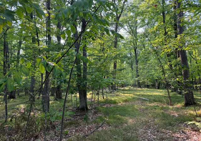 1st image of 81871 Schoumaker Rd, Willow River, MN 55795 | MLS# 7126225