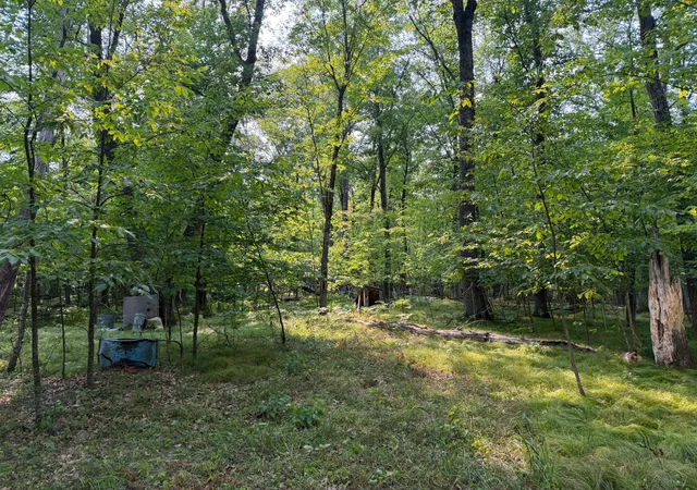 2nd image of 81871 Schoumaker Rd, Willow River, MN 55795 | MLS# 7126225