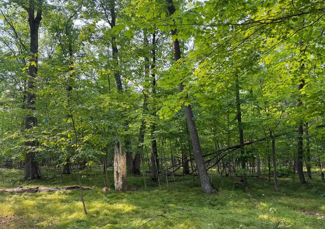 3rd image of 81871 Schoumaker Rd, Willow River, MN 55795 | MLS# 7126225
