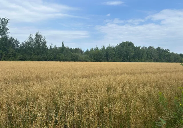 Photo 1 of Land for sale at 10241 230th Avenue, Strathcona, MN 56759 | MLS# 7126355 | Listing updated on 2026-08-24