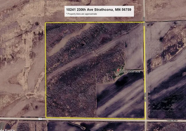 Photo 3 of Land for sale at 10241 230th Avenue, Strathcona, MN 56759 | MLS# 7126355 | Listing updated on 2026-08-24