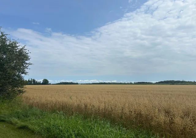Photo 3 of House for sale at 10241 230th Avenue, Strathcona, MN 56759 | MLS# 7126355 | Listing updated on 2026-08-24