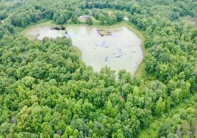2nd image of Xxxx State Hwy 84, Longville, MN 56655 | MLS# 7126414