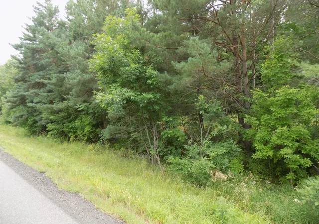 1st image of Tbd Hwy 47, Mora, MN 55051 | MLS# 7126423