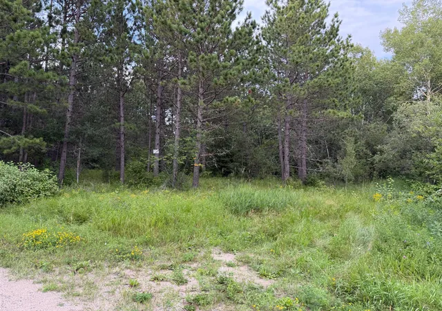 Land for sale at 4788 Town Rd, Ray, MN 56669 | MLS# 7126471