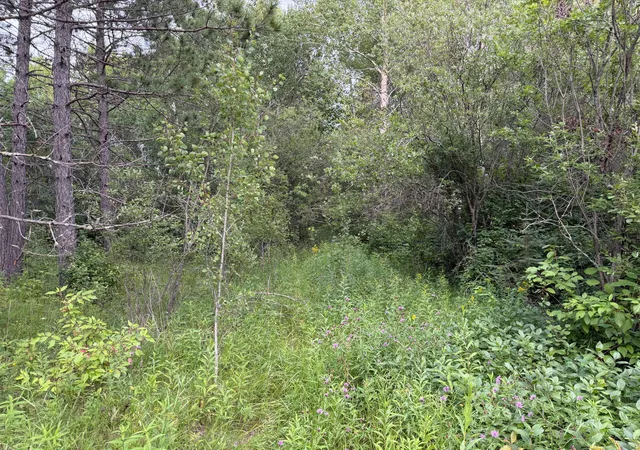 Photo 3 of Land for sale at 4788 Town Rd, Ray, MN 56669 | MLS# 7126471 | Listing updated on 2026-08-13