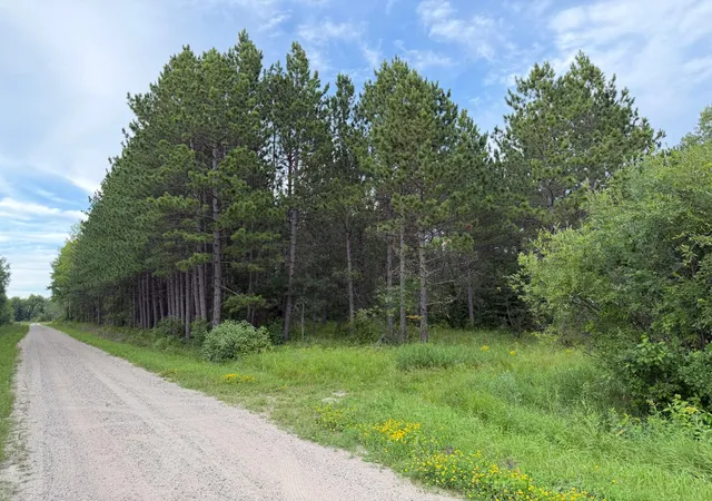 Photo 3 of Land for sale at 4788 Town Rd, Ray, MN 56669 | MLS# 7126471 | Listing updated on 2026-08-13