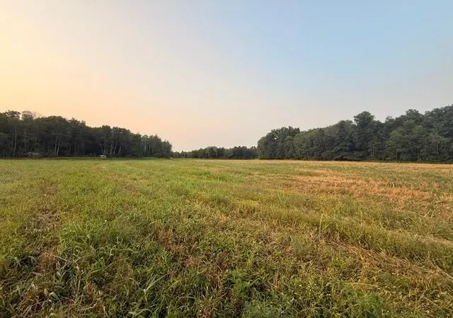 22nd image of Tbd 63rd St, Hillman, MN 56338 | MLS# 7126500