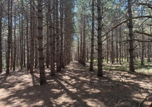 2nd image of Tbd  Parcel C Sleepy Hollow Rd, Brainerd, MN 56401 | MLS# 7126567