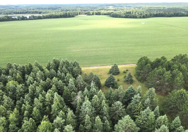 2nd image of Tbd  Parcel D Sleepy Hollow Rd, Brainerd, MN 56401 | MLS# 7126569