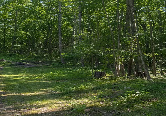 1st image of Tbd Birchcurve Rd, Randall, MN 56475 | MLS# 7126671