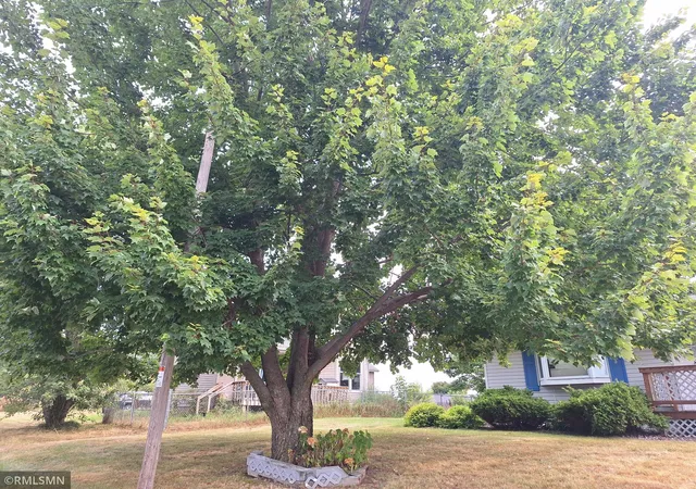 65th image of 208 1st Ave E, Milltown, WI 54858 | MLS# 7126759