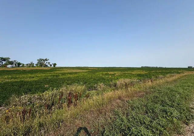 Photo 4 of House for sale at 1 County Rd 3, Shelly, MN 56581 | MLS# 7126842 | Listing updated on 2026-09-30