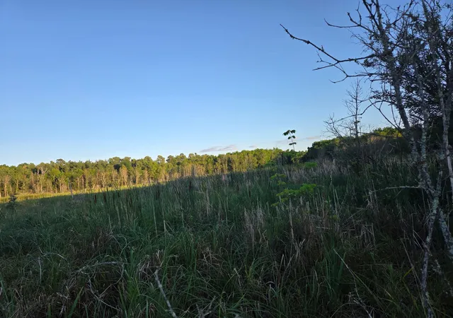 2nd image of Tbd (lot 2) 190th St, Bagley, MN 56621 | MLS# 7126873