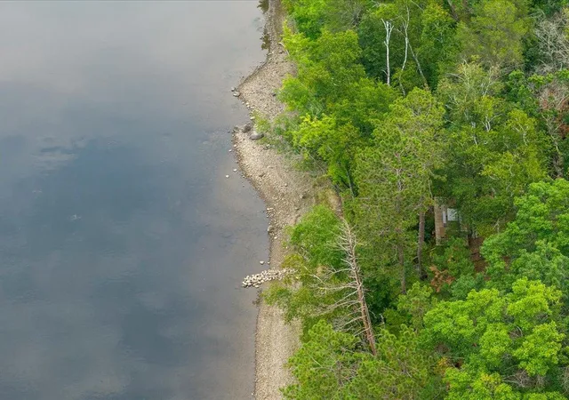3rd image of 8 Acres Mississippi Riv Front Tbd Bedow Rd, Fort Ripley, MN 56449 | MLS# 7126891