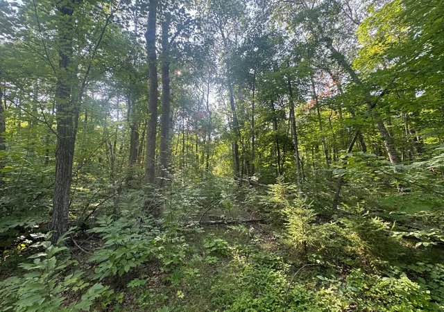 1st image of Tbd Howard Lake Rd Nw, Akeley, MN 56433 | MLS# 7127035